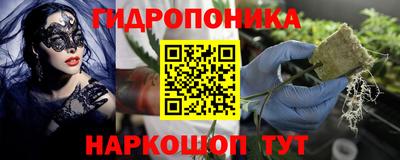 a pvp Чапаевск