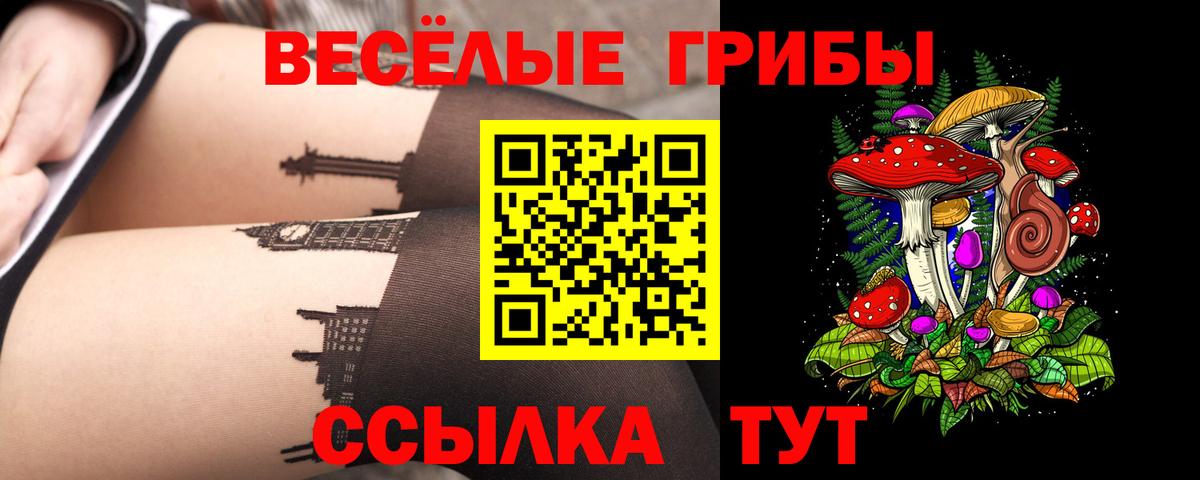 Галлюциногенные грибы мицелий  купить наркоту  Москва  Вход с VPN 
